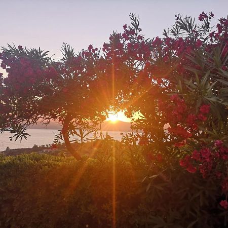 La Casa Sul Tramonto - Capoliveri - Services Included ภายนอก รูปภาพ
