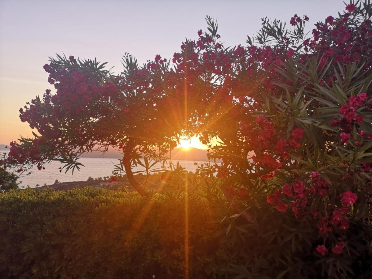 La Casa Sul Tramonto - Capoliveri - Services Included ภายนอก รูปภาพ